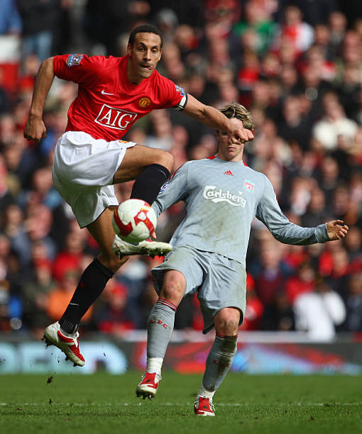 在冬季的纯 在冬季的纯